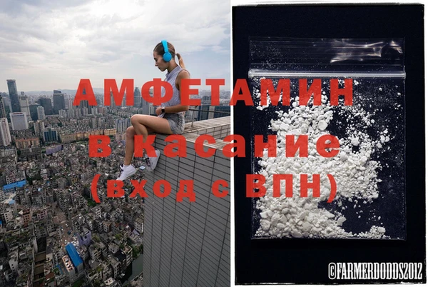 ГАЛЛЮЦИНОГЕННЫЕ ГРИБЫ Алзамай