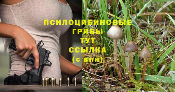 ГАЛЛЮЦИНОГЕННЫЕ ГРИБЫ Алзамай