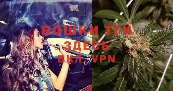 бошки Алексин
