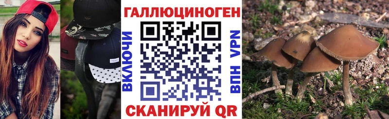 закладка Дегтярск сайты даркнета наркотические препараты Галлюциногенные грибы мицелий