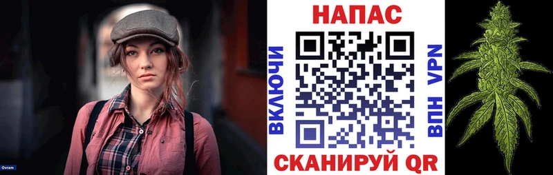 hydra ТОР  Дегтярск  Конопля гибрид 